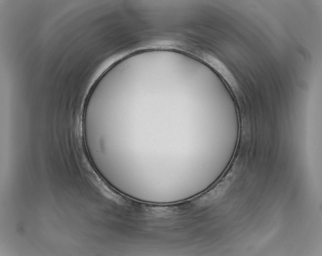 X0000112171436200908281330