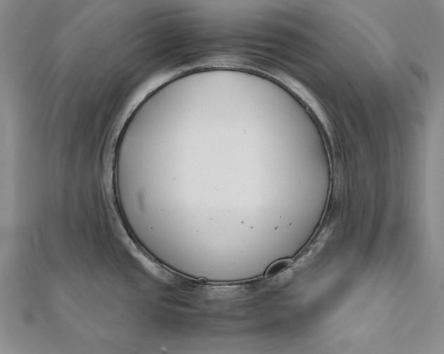 X0000112171437200908281330