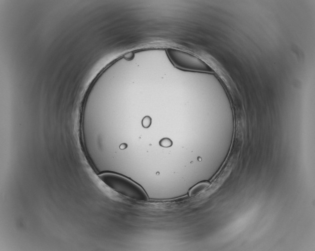 X0000112171438200908281330