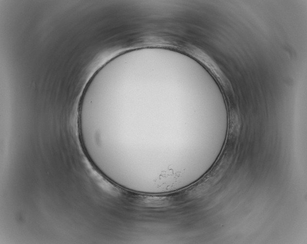 X0000112171439200908281330