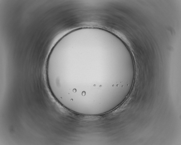 X0000112171440200908281330