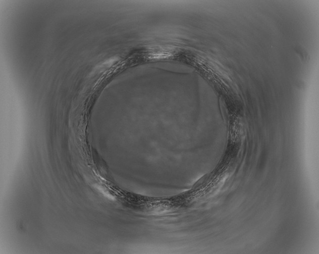 X0000112171441200908281329