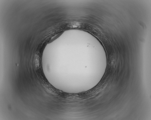 X0000112171442200908281329