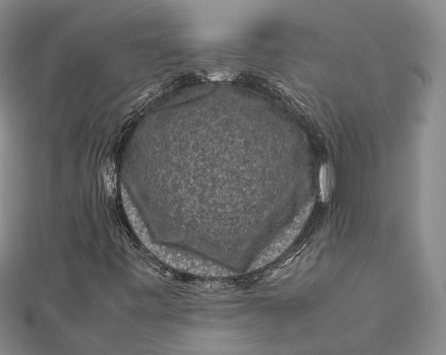 X0000112171443200908281329