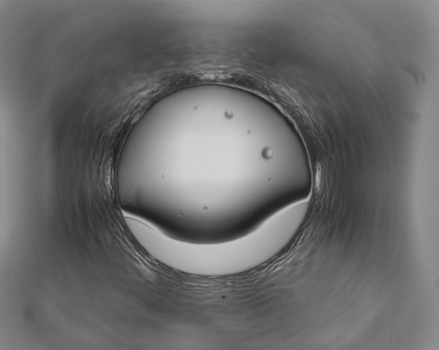 X0000112171444200908281329