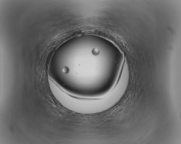 X0000112171445200908281329