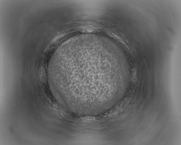 X0000112171446200908281329