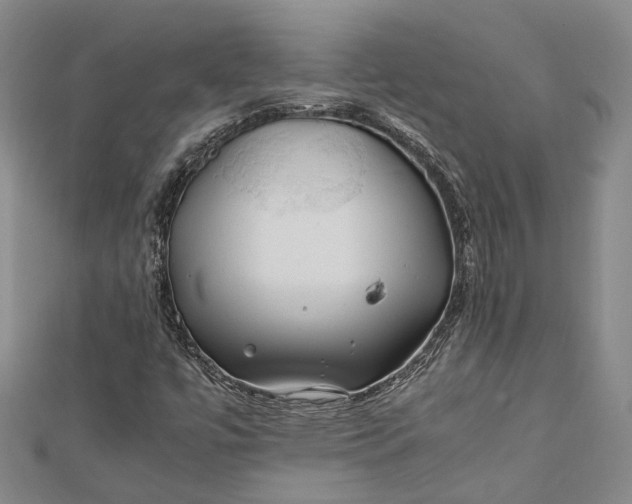 X0000112171447200908281329