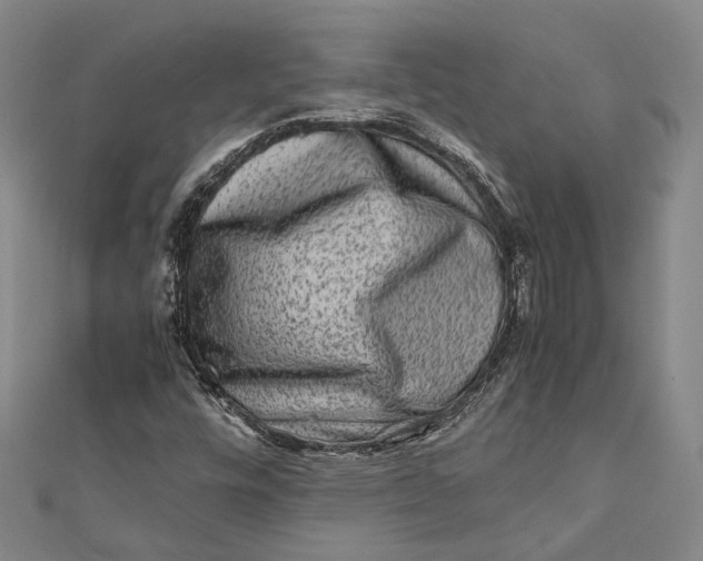 X0000112171448200908281329