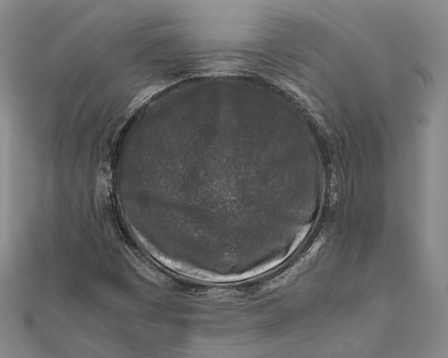 X0000112171449200908281329