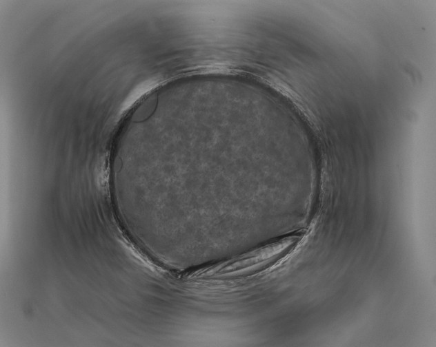 X0000112171450200908281329