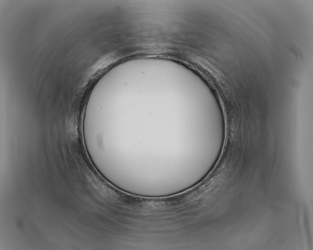 X0000112171451200908281329