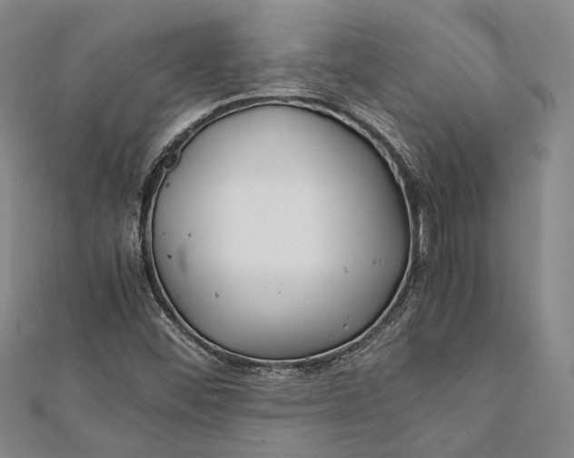 X0000112171452200908281329