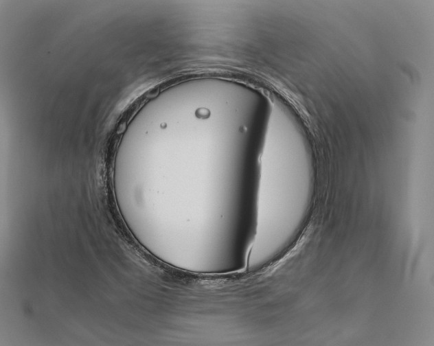 X0000112171453200908281329