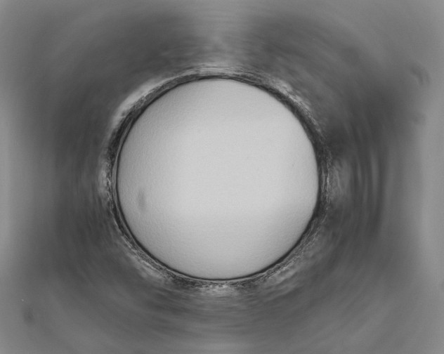 X0000112171454200908281329