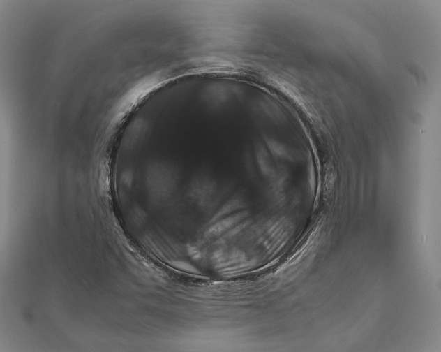 X0000112171455200908281329