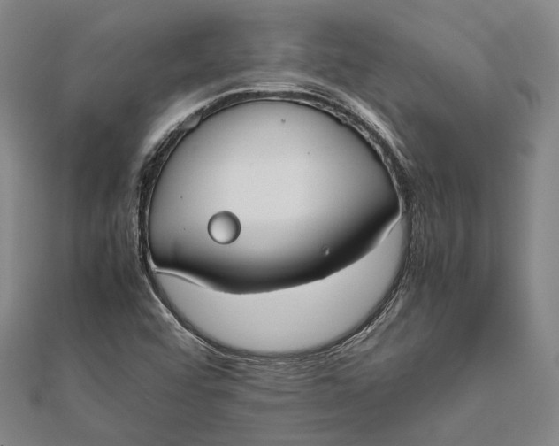 X0000112171456200908281329