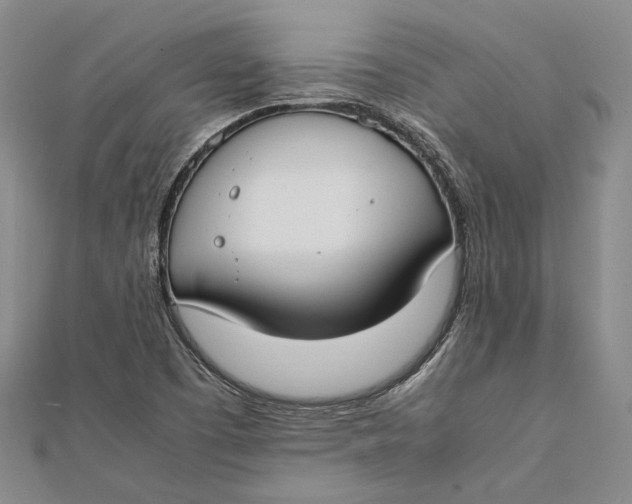 X0000112171457200908281329