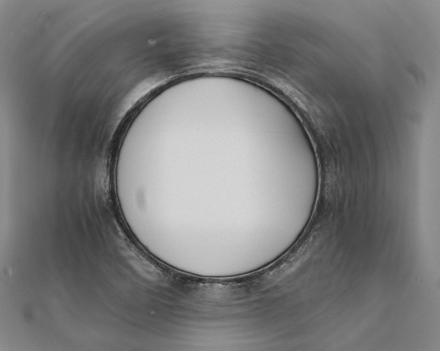 X0000112171458200908281329