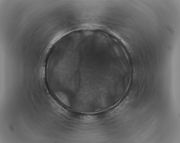 X0000112171459200908281329