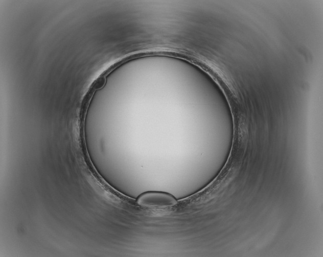 X0000112171460200908281329