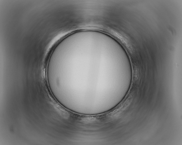 X0000112171462200908281329