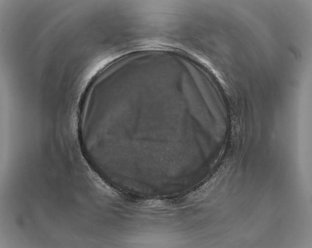 X0000112171463200908281329