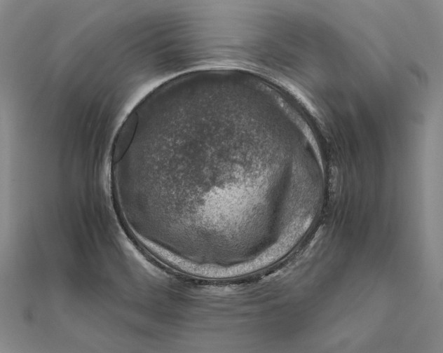 X0000112171468200908281329