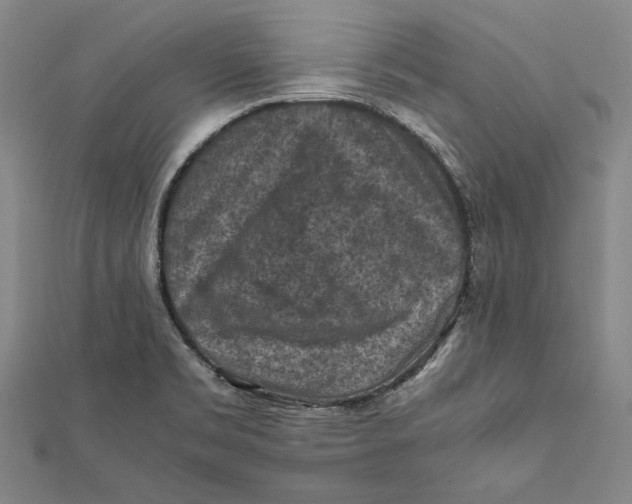 X0000112171469200908281329