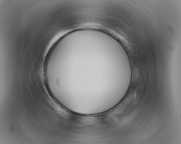 X0000112171470200908281329