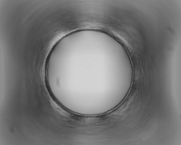 X0000112171471200908281329