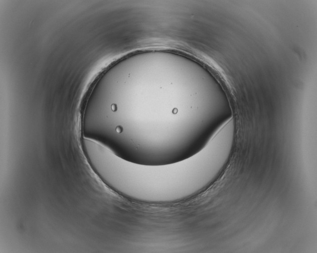 X0000112171472200908281329