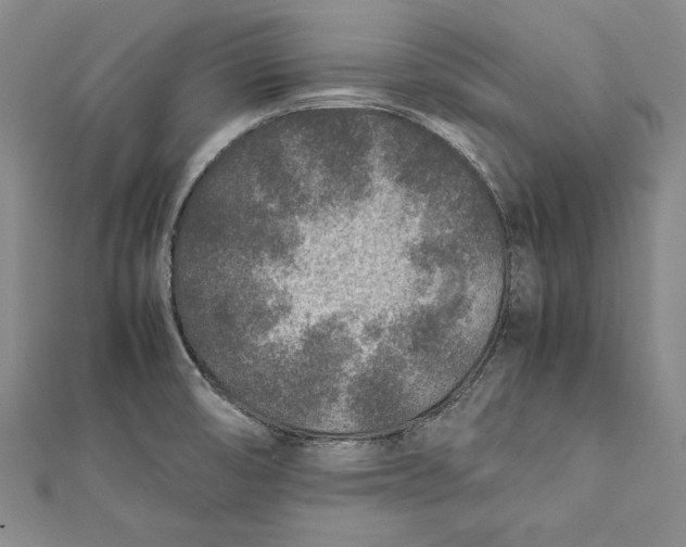 X0000112171474200908281329