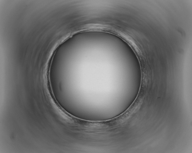 X0000112171475200908281329