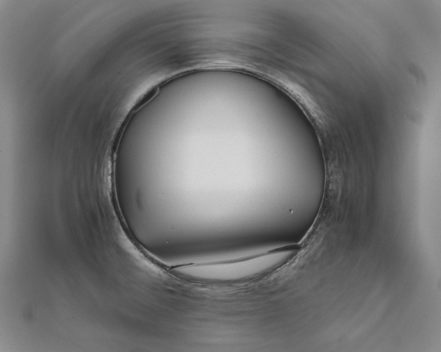 X0000112171476200908281329