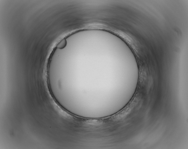 X0000112171478200908281329