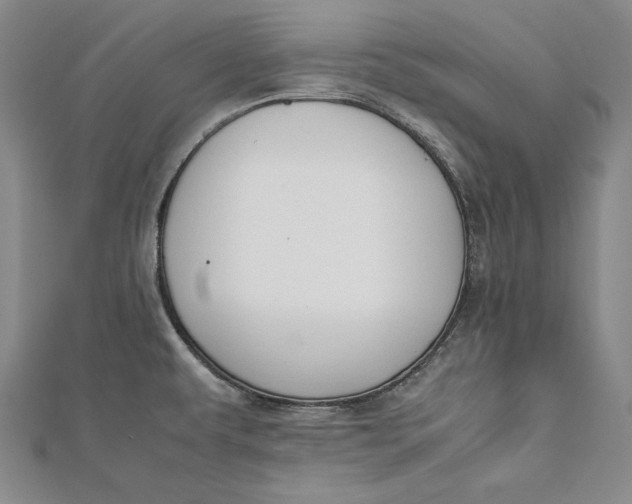 X0000112171479200908281329