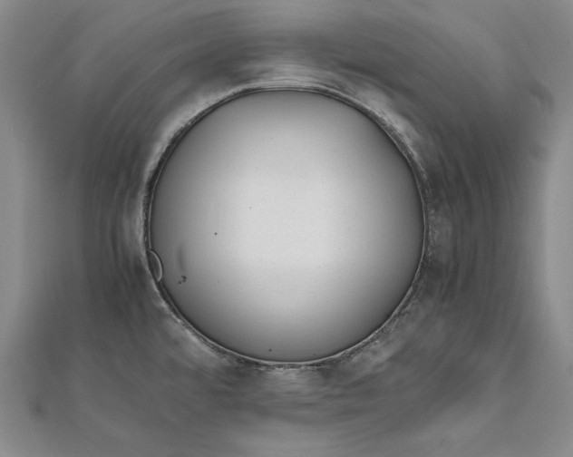 X0000112171480200908281329