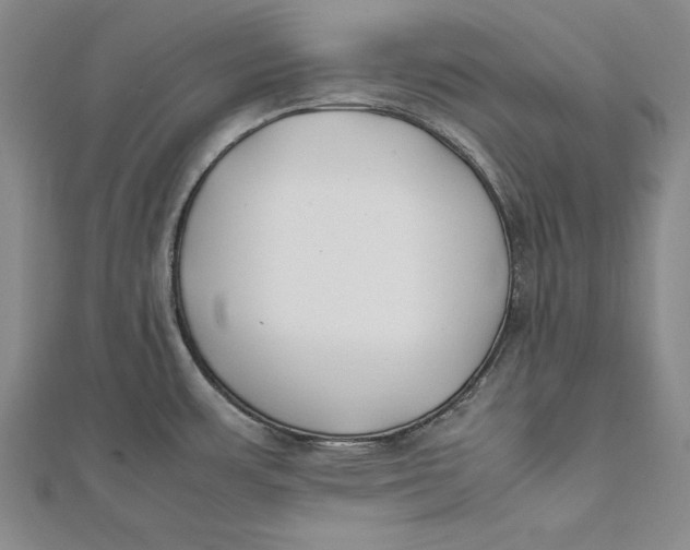 X0000112171483200908281329