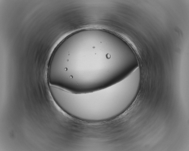 X0000112171484200908281329