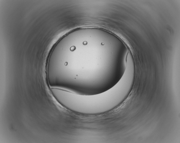 X0000112171485200908281329