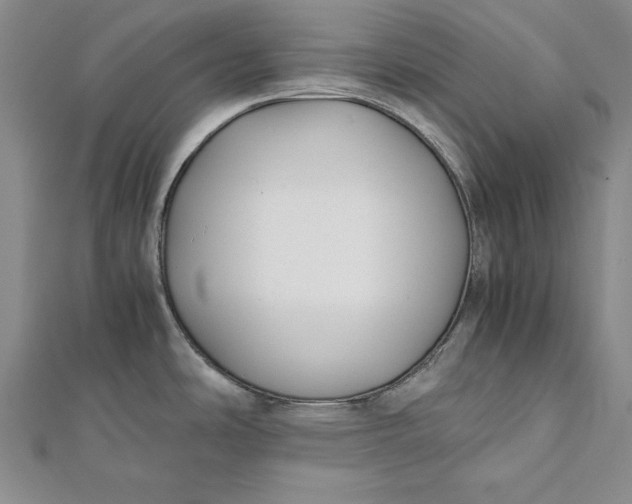 X0000112171486200908281329