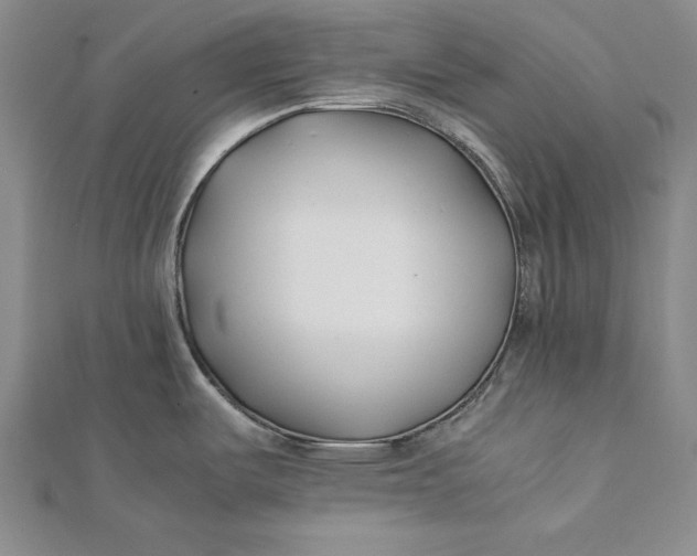 X0000112171487200908281329