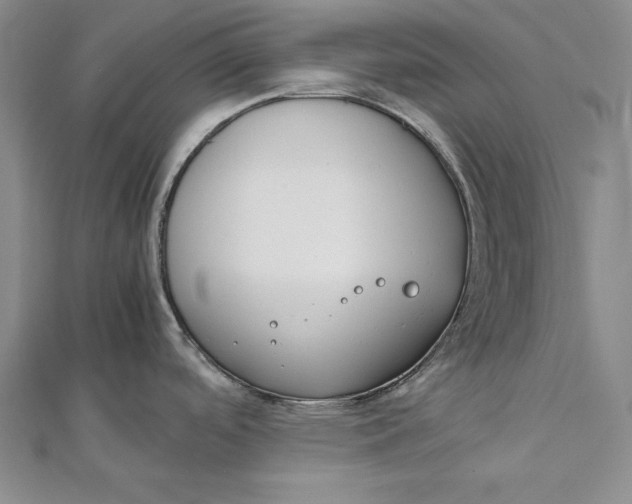 X0000112171488200908281329