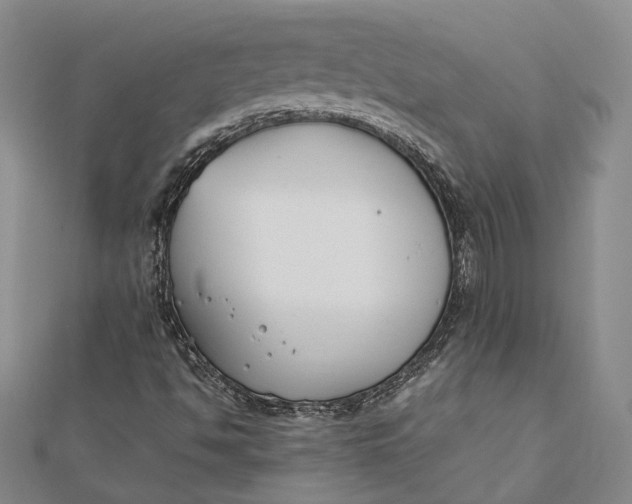 X0000112171494200908281328