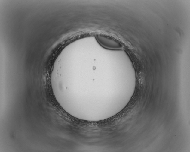 X0000112171495200908281328