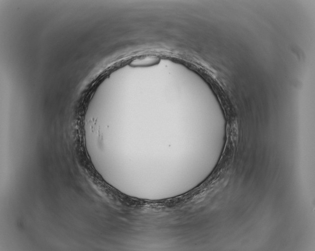 X0000112171496200908281328