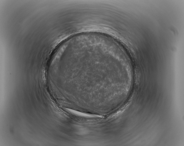 X0000112171497200908281328