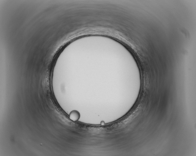 X0000112171498200908281328