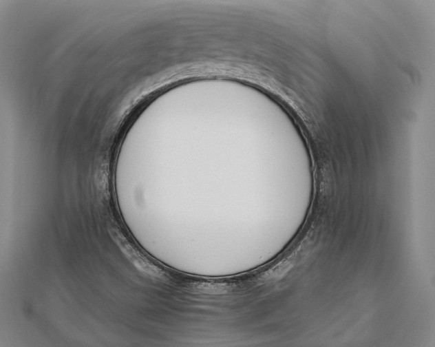 X0000112171499200908281328